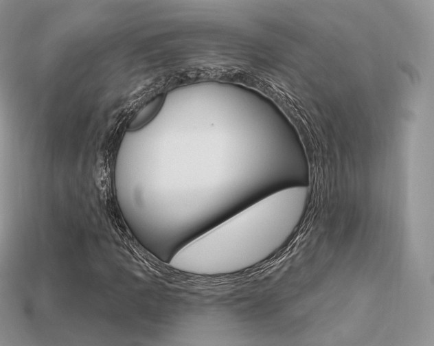X0000113231109200909100937