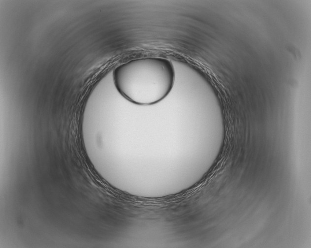 X0000113231110200909100937