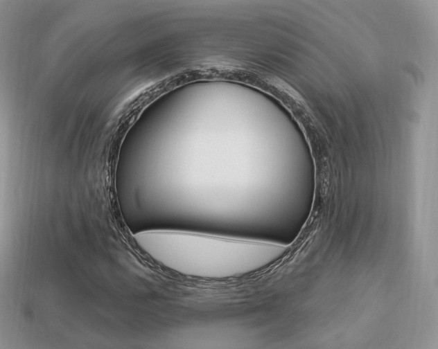 X0000113231112200909100937