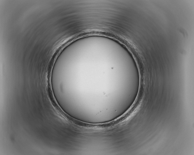 X0000113231113200909100937