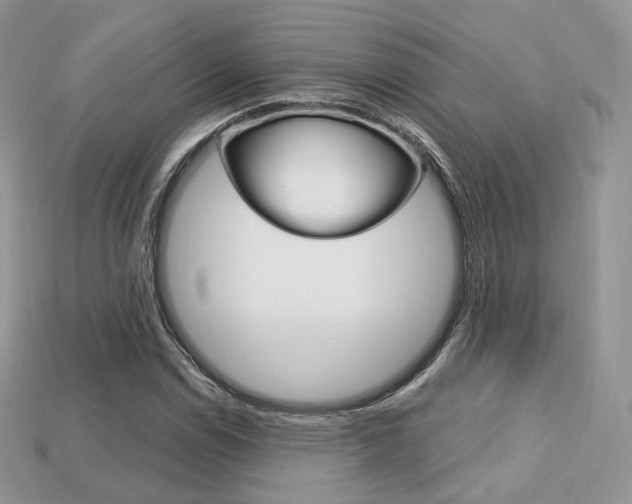 X0000113231114200909100937