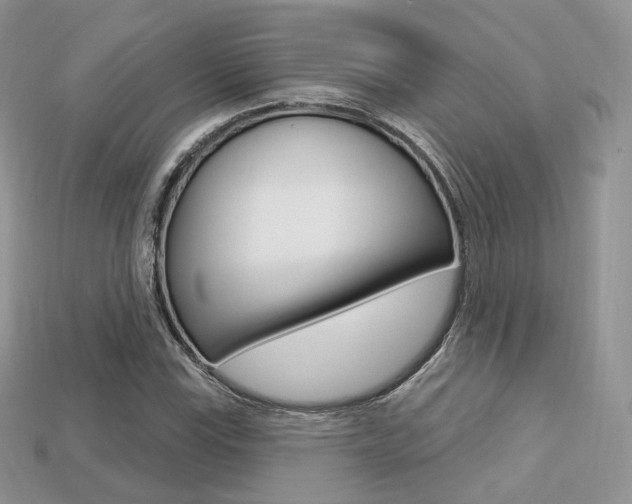 X0000113231115200909100937