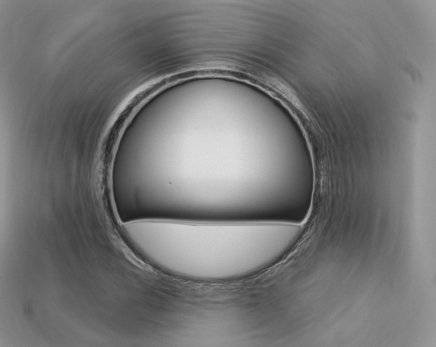 X0000113231116200909100937