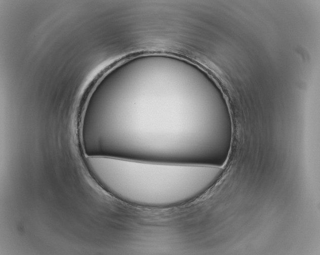 X0000113231120200909100937