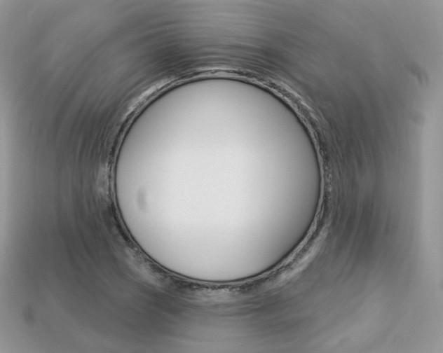 X0000113231121200909100937