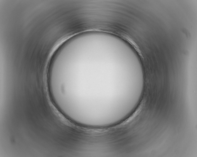 X0000113231122200909100937