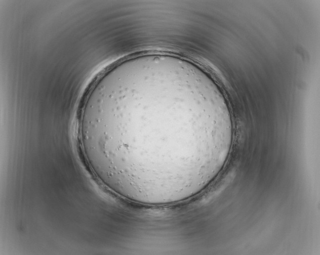 X0000113231125200909100937