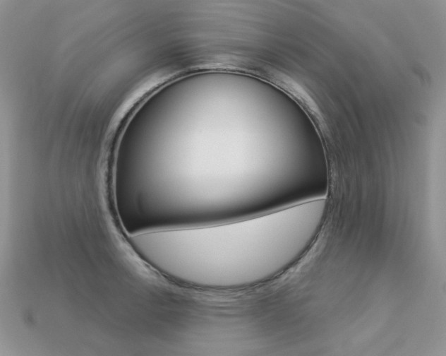 X0000113231138200909100938