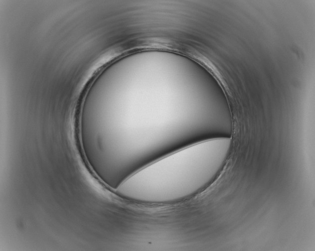 X0000113231139200909100938