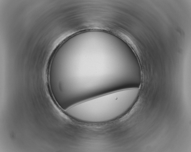 X0000113231141200909100938