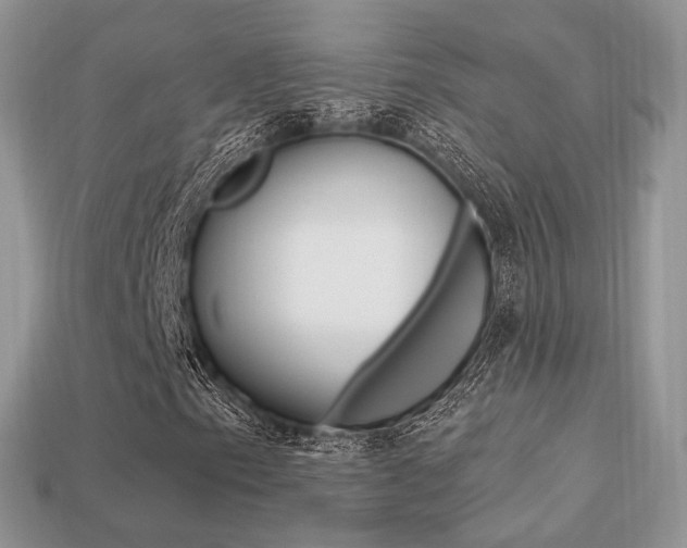 X0000113231153200909100937
