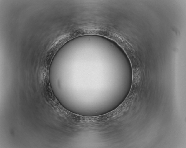 X0000113231157200909100937