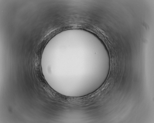 X0000113231158200909100937