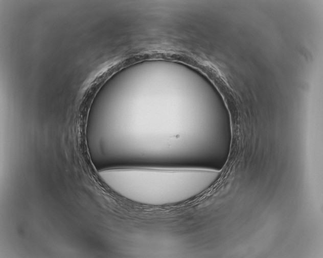 X0000113231159200909100937