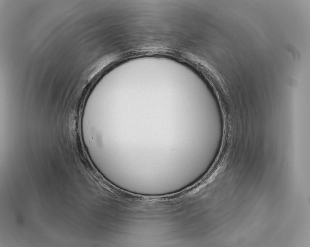 X0000113231162200909100937