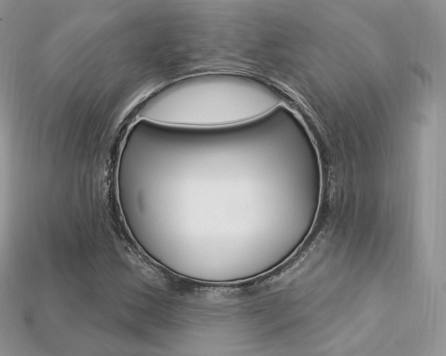X0000113231163200909100937