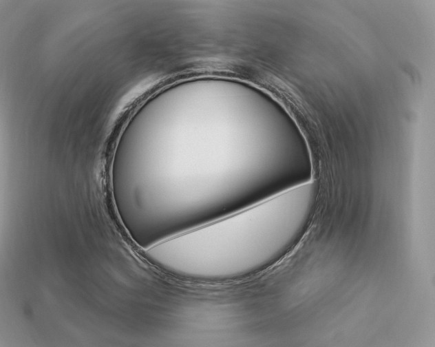 X0000113231164200909100937