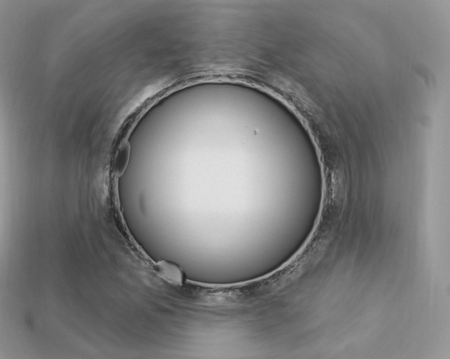 X0000113231165200909100937