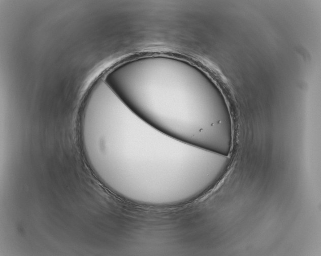 X0000113231167200909100937