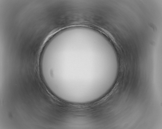 X0000113231168200909100937