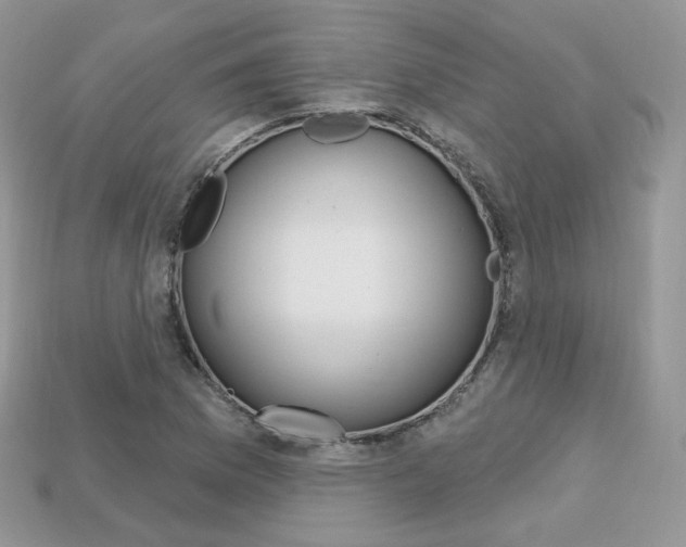 X0000113231169200909100937