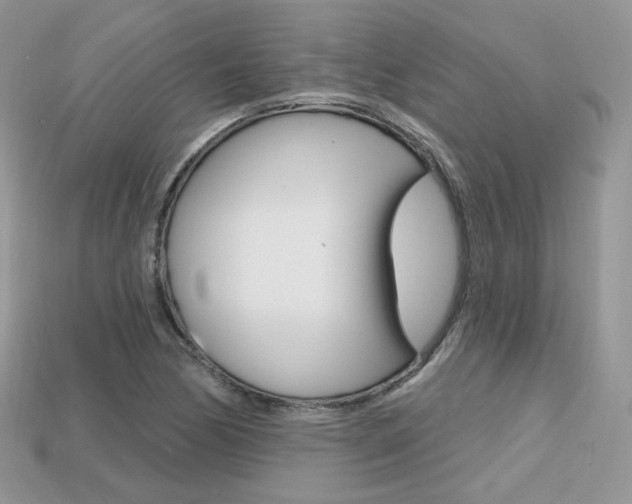 X0000113231170200909100937