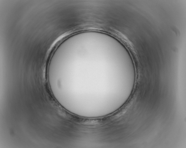 X0000113231174200909100937