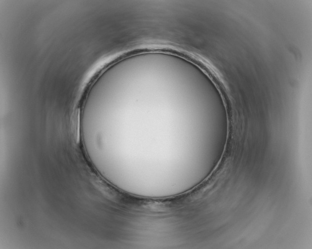 X0000113231175200909100937