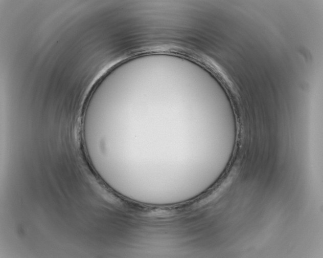 X0000113231178200909100937