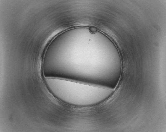 X0000113231179200909100937