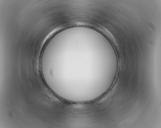 X0000113231182200909100937