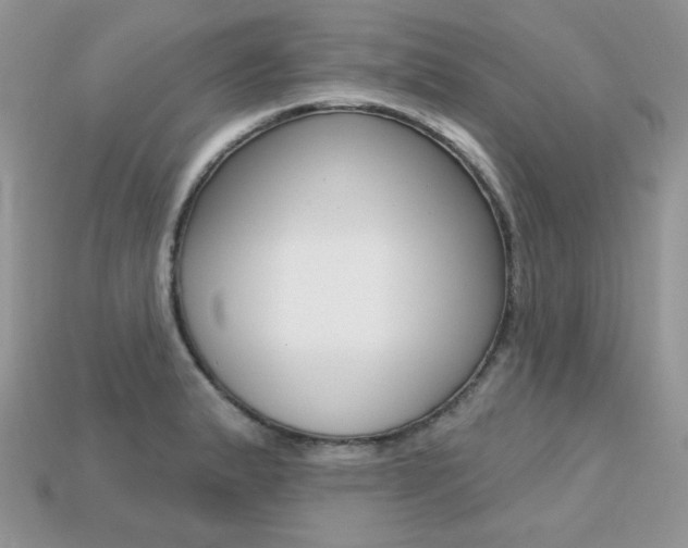 X0000113231183200909100937