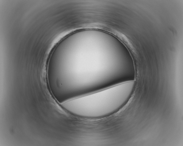 X0000113231184200909100937