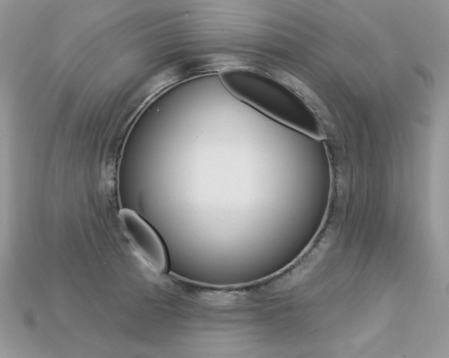 X0000113231185200909100937