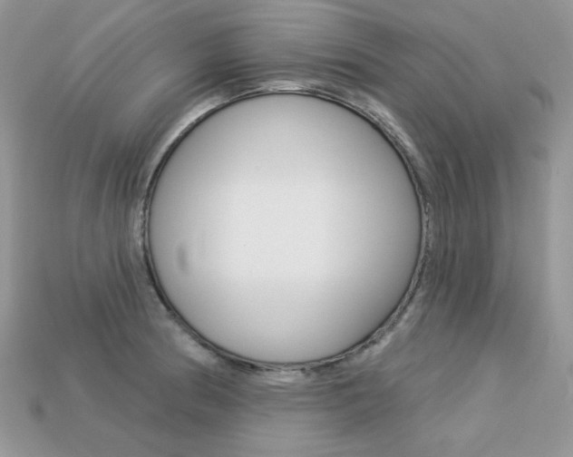 X0000113231186200909100937