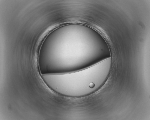 X0000113231188200909100937