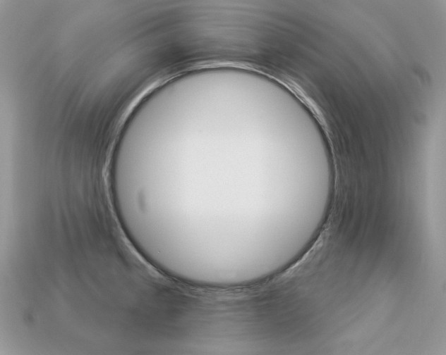 X0000113231189200909100937