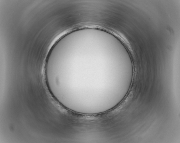 X0000113231190200909100937