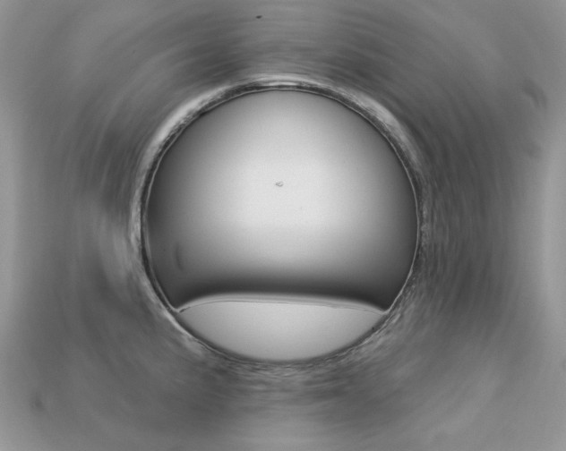 X0000113231191200909100937
