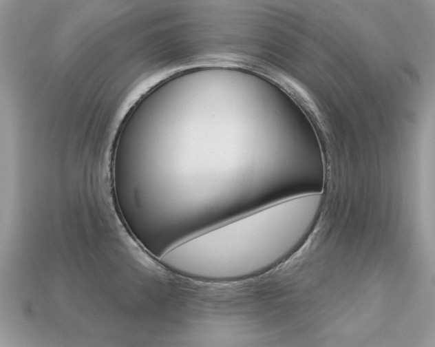 X0000113231192200909100937