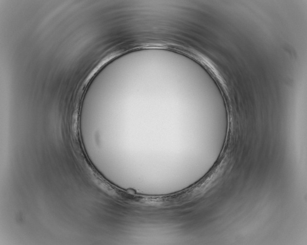 X0000113231194200909100937