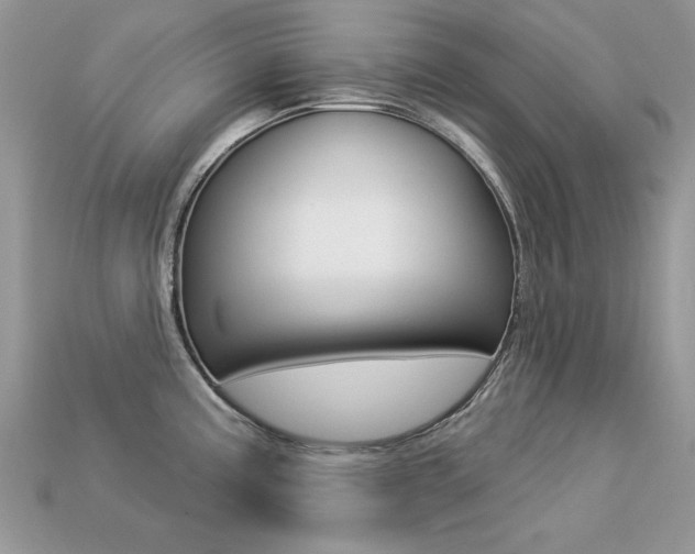 X0000113231195200909100937