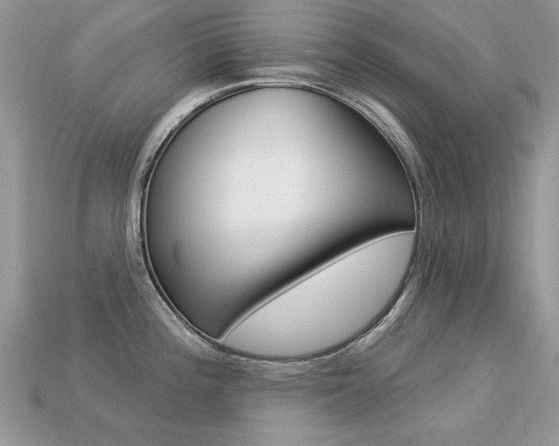 X0000113231196200909100937