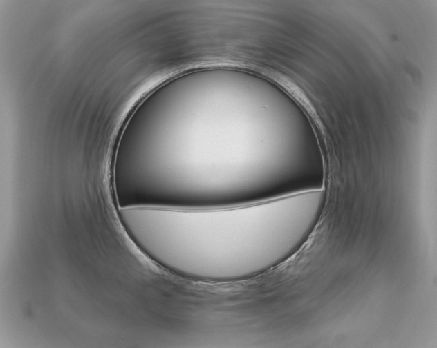 X0000113231197200909100937