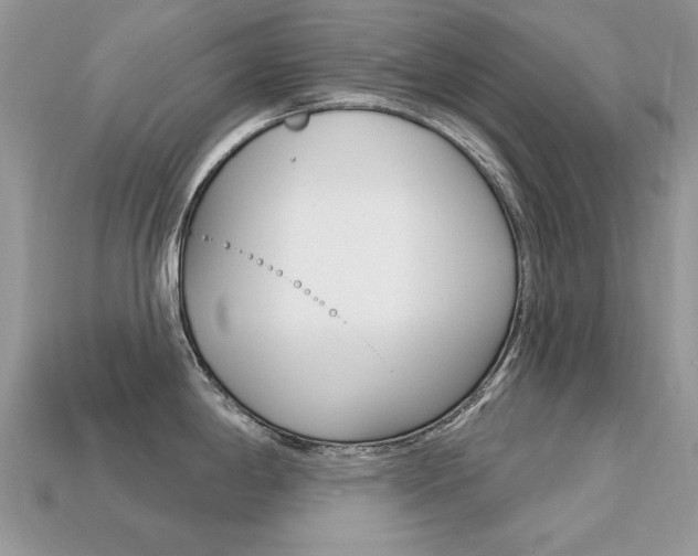 X0000113231198200909100937