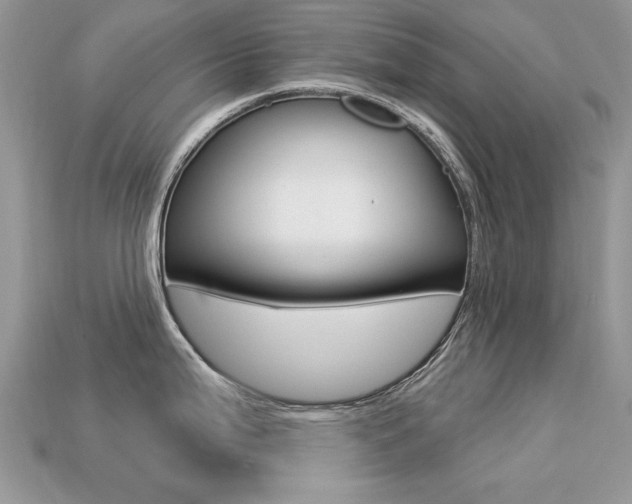 X0000113231199200909100937