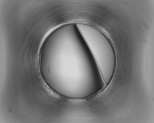 X0000113231200200909100937