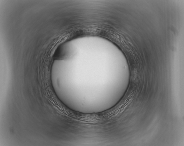 X0000113231201200909100936