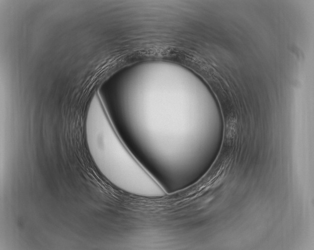X0000113231202200909100936