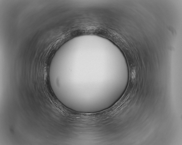 X0000113231204200909100936